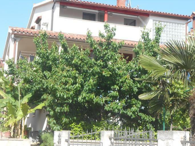 Apartman Snjezana Fazana Exterior photo